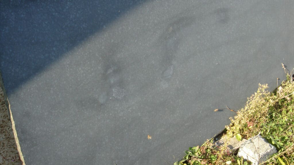 Basalt anthrazit geschliffen