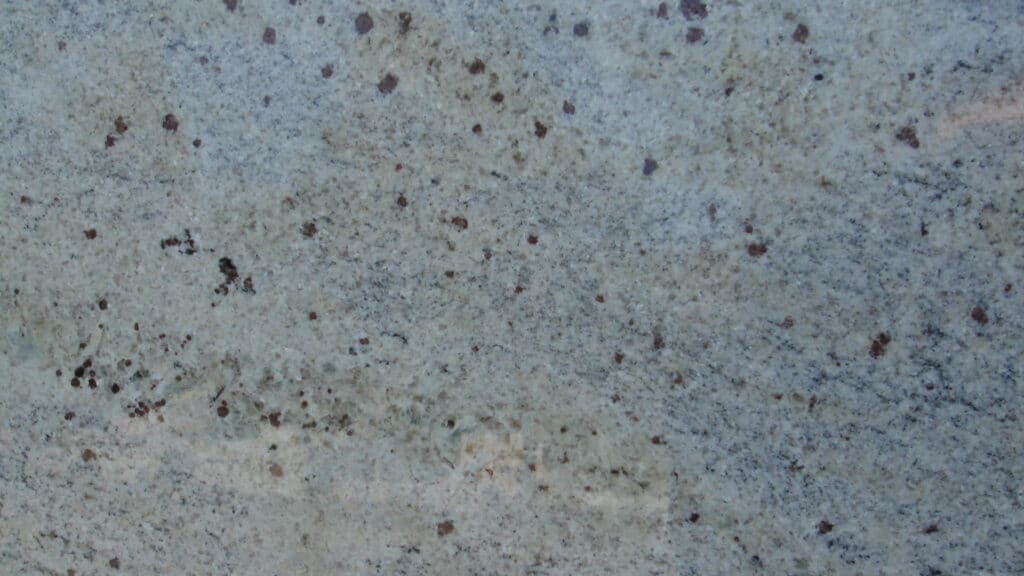 Kashmir White
